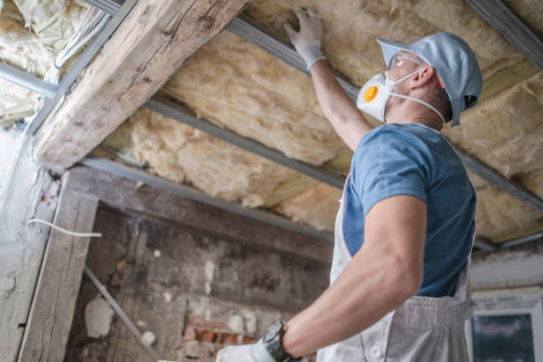 Best Energy Efficiency Insulation in Thornton, IL
