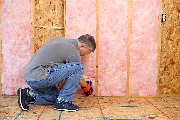 Best DIY Insulation Kits and Guidance in Thornton, IL
